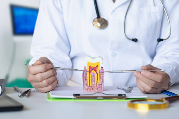Best Pediatric Emergency Dentist in Johns Creek, GA